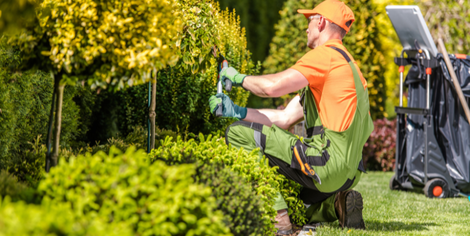 Ill. Moratoire temporaire sur le dispositif IDESS