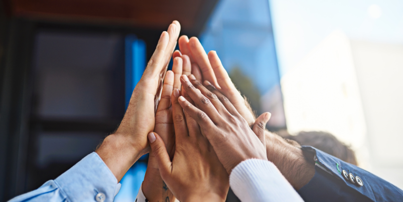 Five sectoral federations recognized in the social economy in Wallonia
