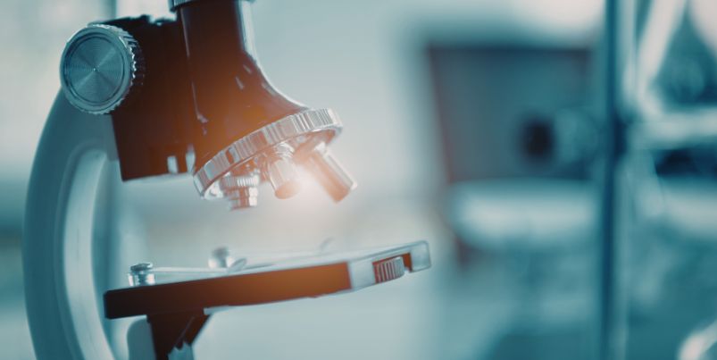 Recherche et innovation en Wallonie : un nouveau cadre pour mieux transformer les résultats en emplois