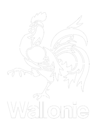 Gestion - L'économie en Wallonie